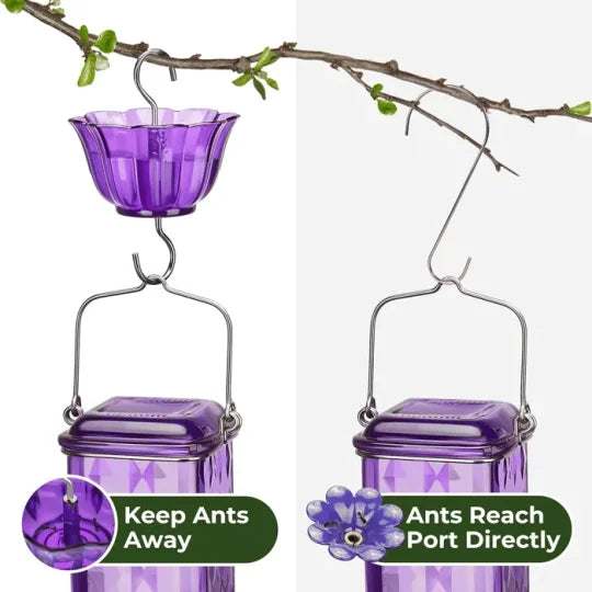 24 oz Glass Hummingbird Feeder with Leak-Proof Design