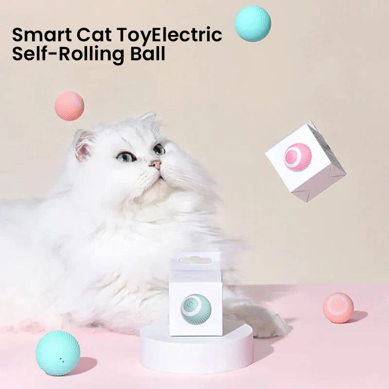 2-in-1 Interactive Hunting Cat Toy with Realistic Prey Simulation