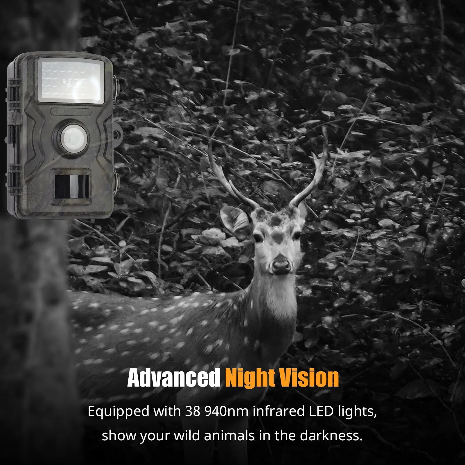 1080P Night Vision Trail Camera for Clear Wildlife Monitoring