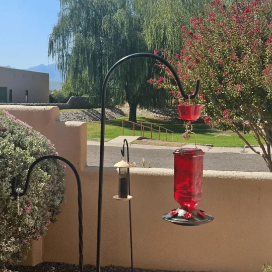 24 oz Glass Hummingbird Feeder with Leak-Proof Design