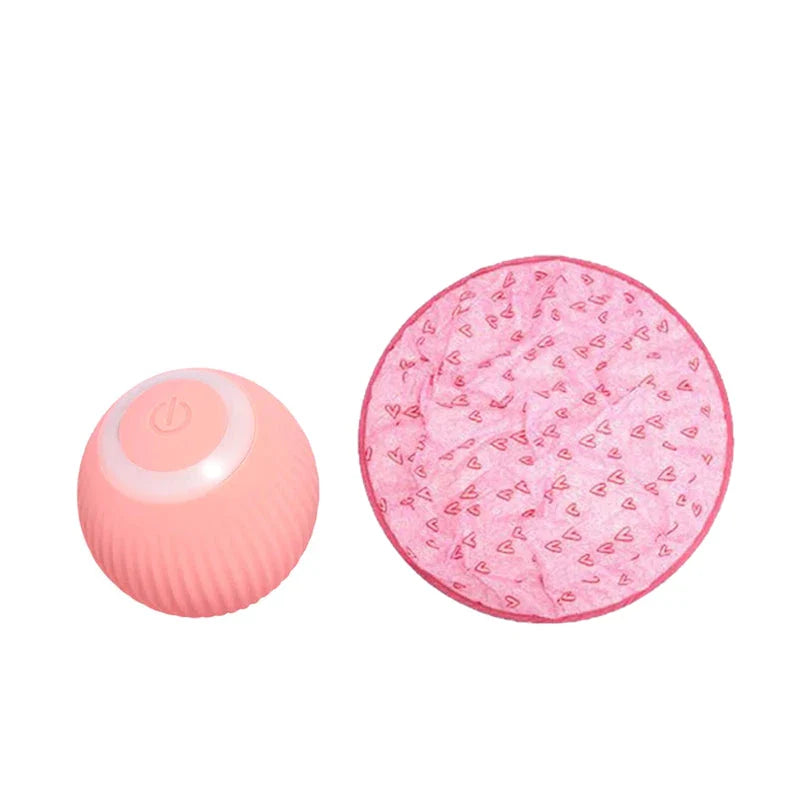 2-in-1 Interactive Hunting Cat Toy with Realistic Prey Simulation