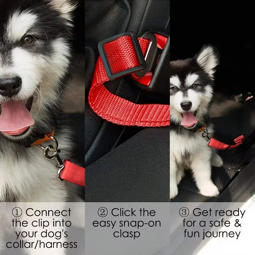 Secure Adjustable Dog Seat Belt for Safe Car Travel