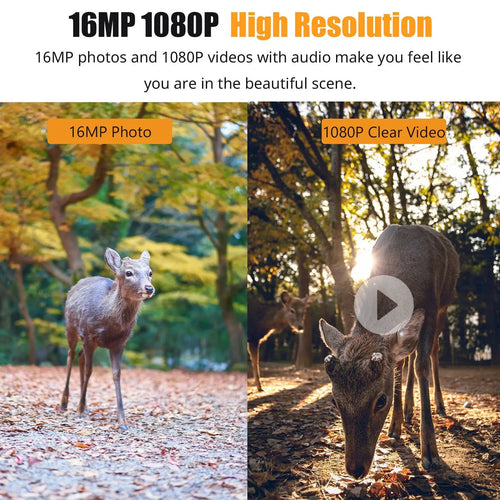 1080P Night Vision Trail Camera for Clear Wildlife Monitoring