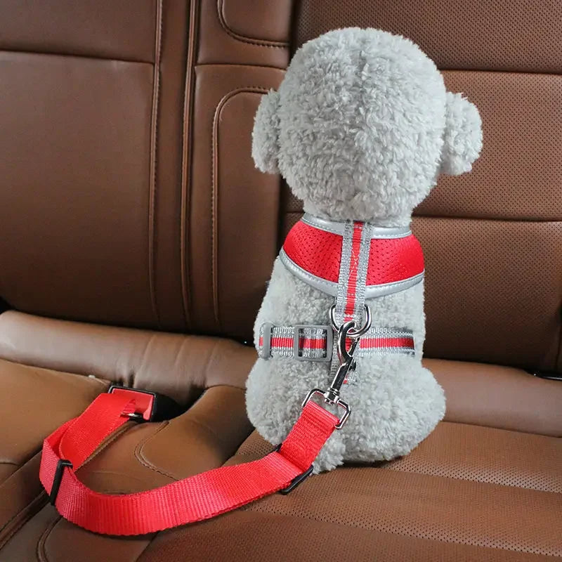 Secure Adjustable Dog Seat Belt for Safe Car Travel