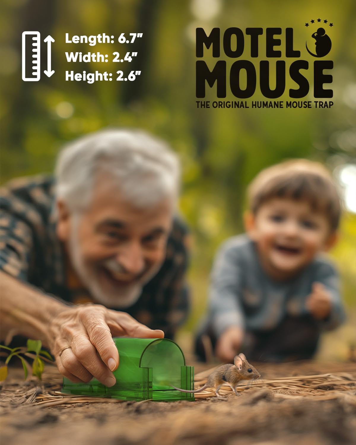 4-Pack Mouse Traps