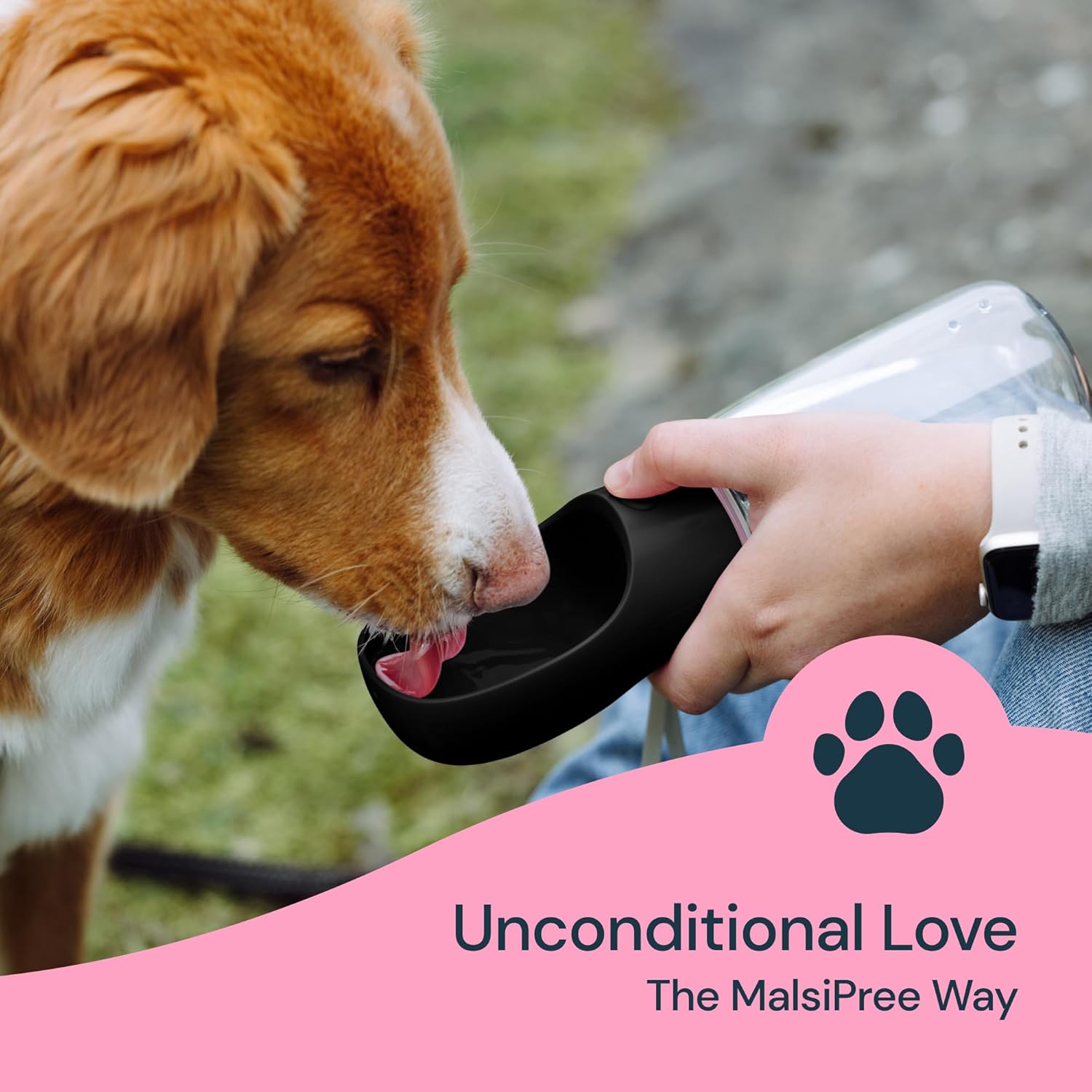 19 oz Portable Dog Water Bottle for Easy On-The-Go Hydration
