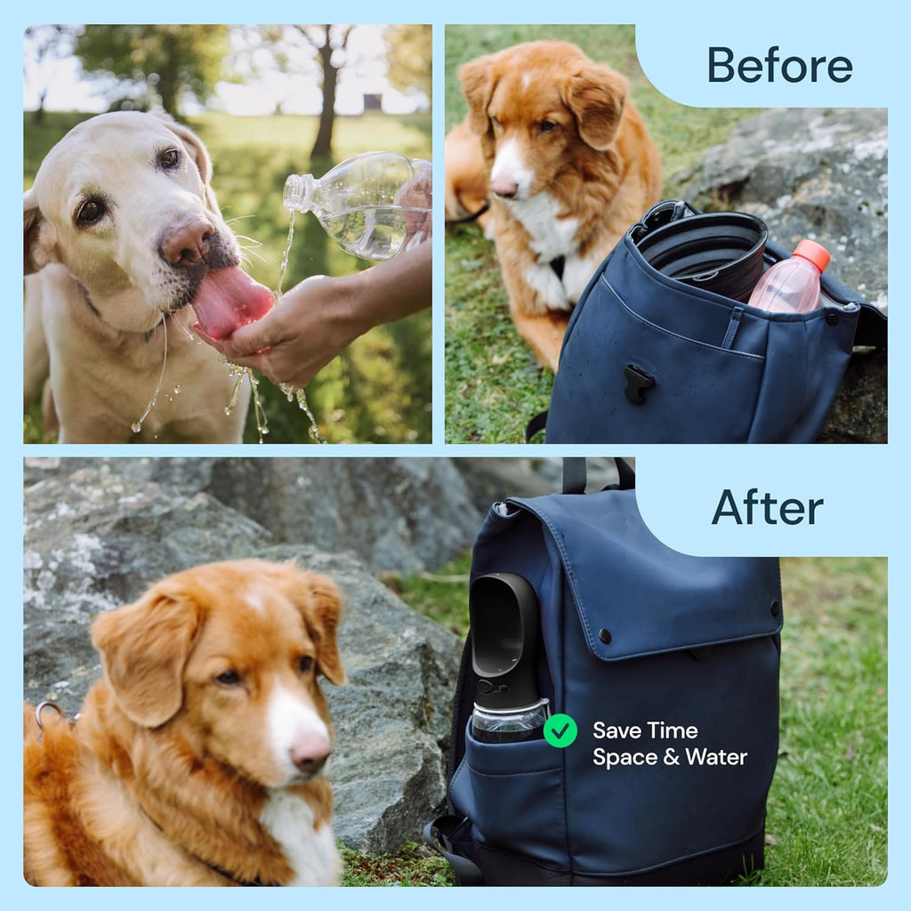 19 oz Portable Dog Water Bottle for Easy On-The-Go Hydration
