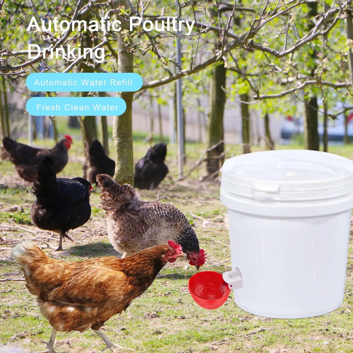 10-Pack Chicken Waterers
