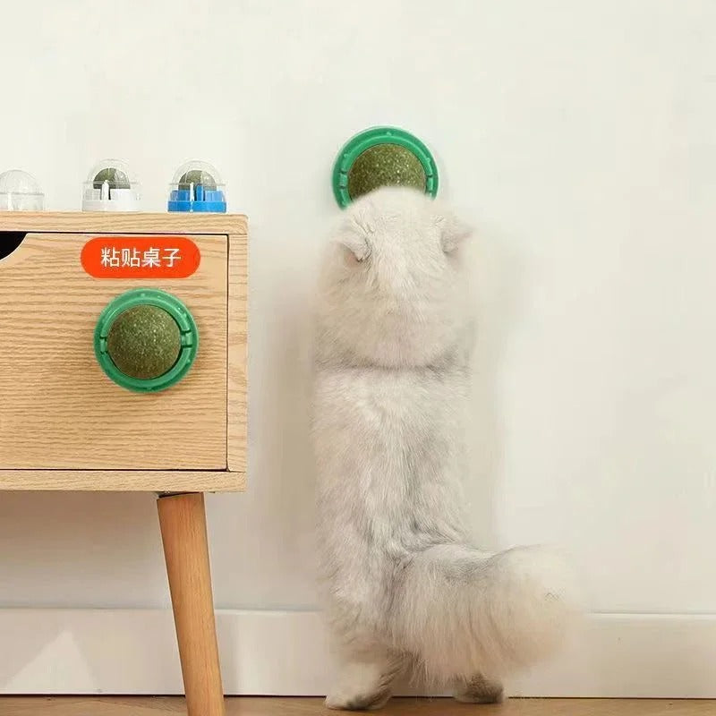 4-Pack Premium Catnip Balls for Cats