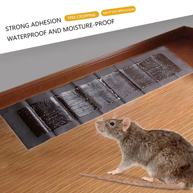 5 Extra-Large Glue Pads for Mice and Rats – Ultra-Effective Pest Traps