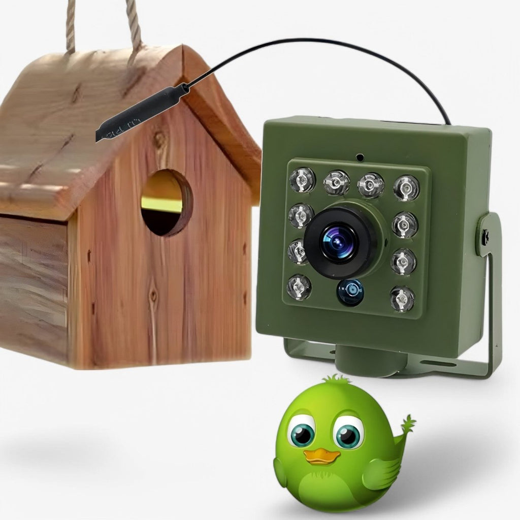 All-Weather 1080p HD Wildlife Camera with Night Vision, Motion Detection, and Remote Access