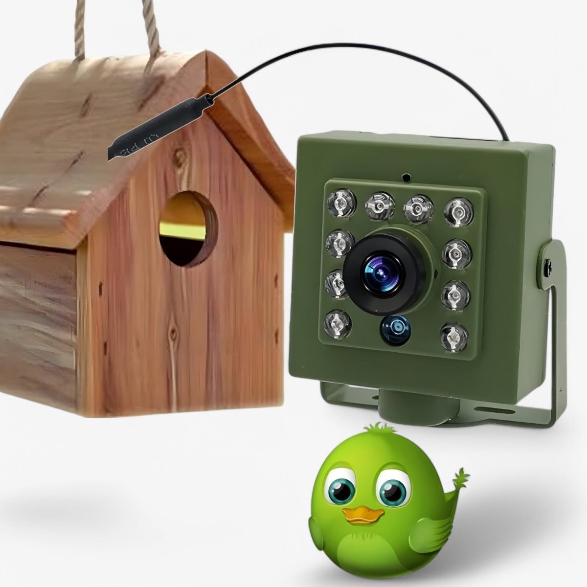 All-Weather 1080p HD Wildlife Camera with Night Vision, Motion Detection, and Remote Access