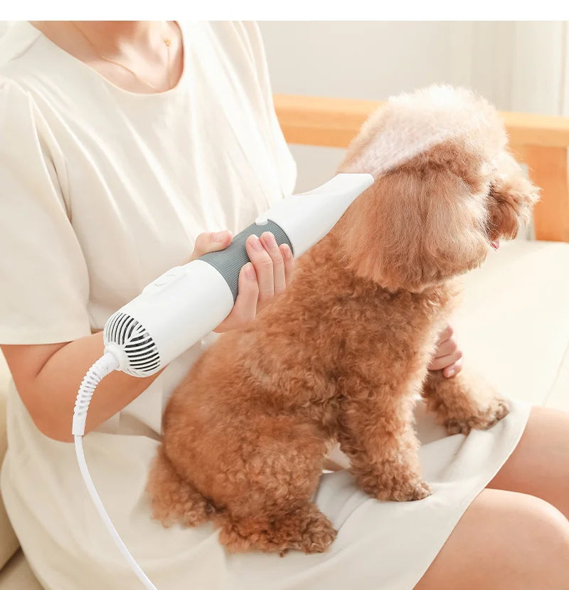 All-in-One Dog Grooming Tool: Hair Dryer & Grooming Brush