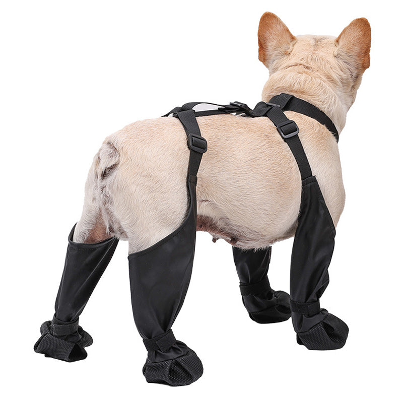 Secure-Fit Adjustable Dog Boots for Comfort and Protection