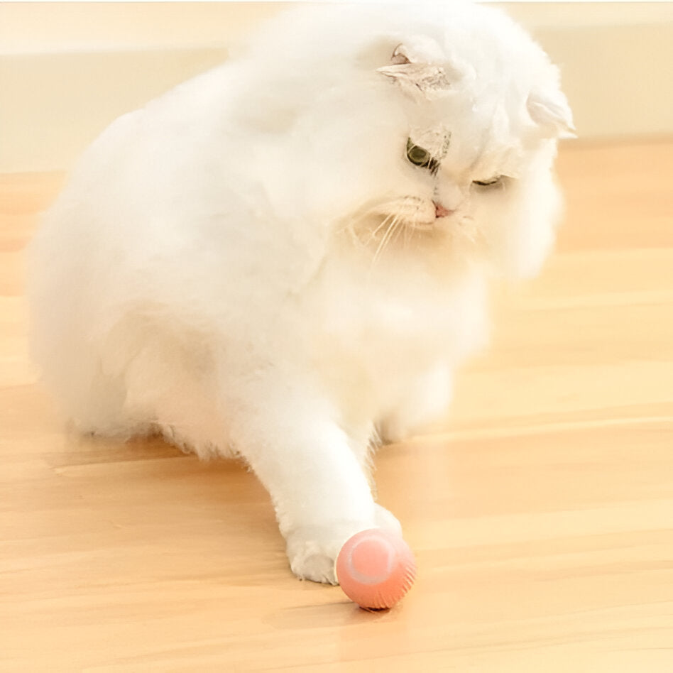 2-in-1 Interactive Hunting Cat Toy with Realistic Prey Simulation