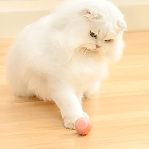 2-in-1 Interactive Hunting Cat Toy with Realistic Prey Simulation