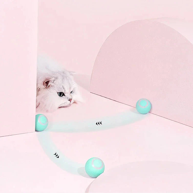 2-in-1 Interactive Hunting Cat Toy with Realistic Prey Simulation