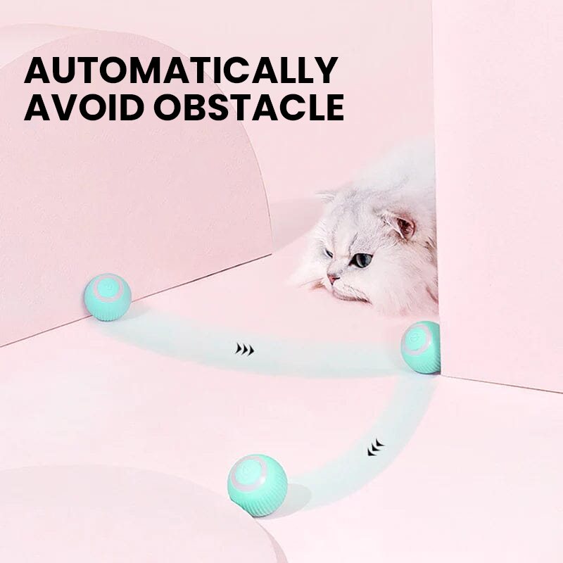 2-in-1 Interactive Hunting Cat Toy with Realistic Prey Simulation