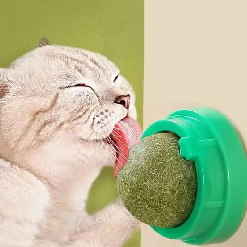 4-Pack Premium Catnip Balls for Cats