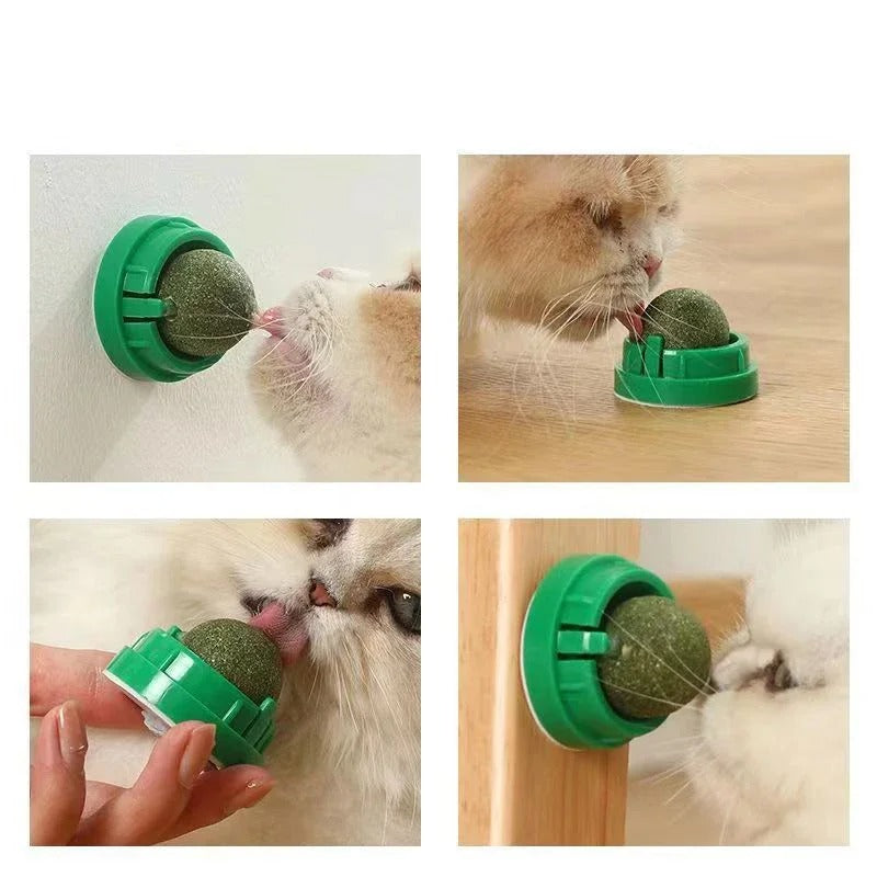 4-Pack Premium Catnip Balls for Cats