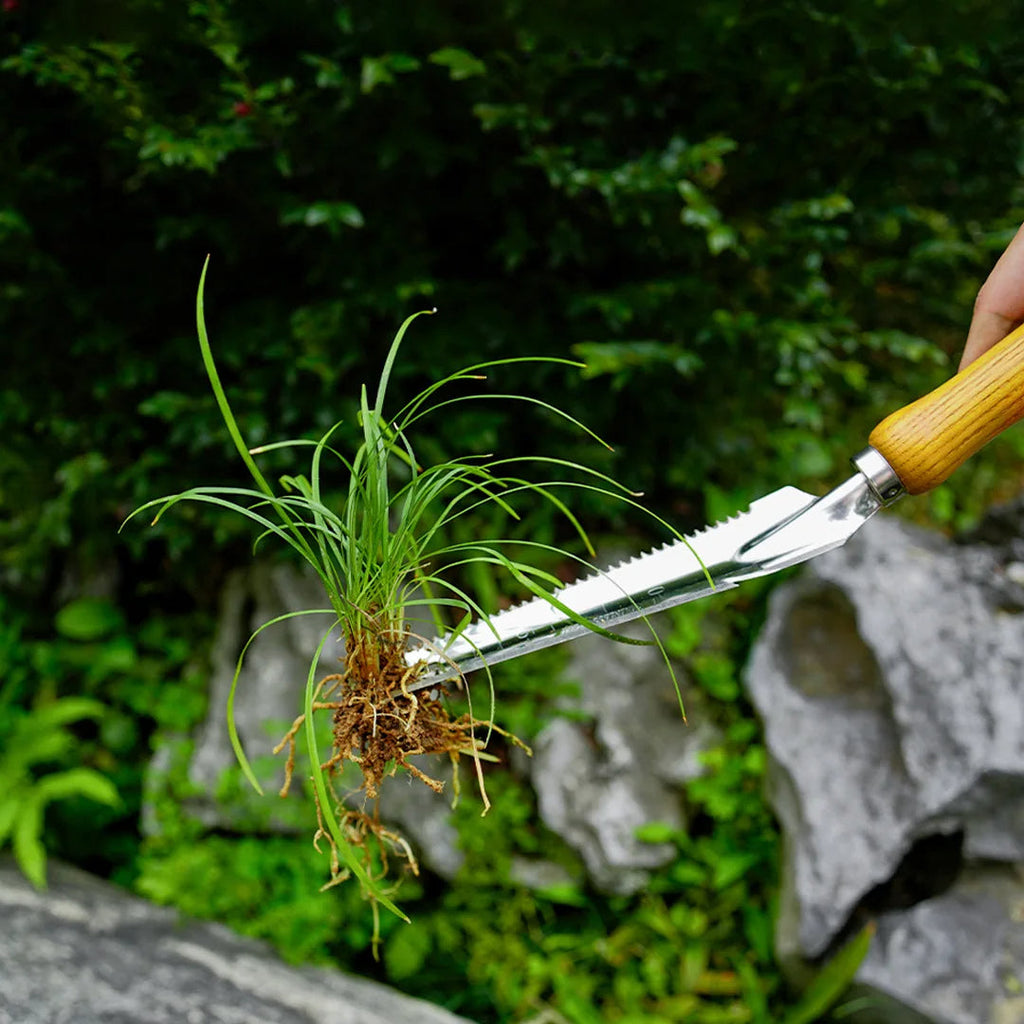 5-in-1 Stainless Steel Weed Puller with Beech Wood Handle – Durable Multi-Tool for Easy Weeding