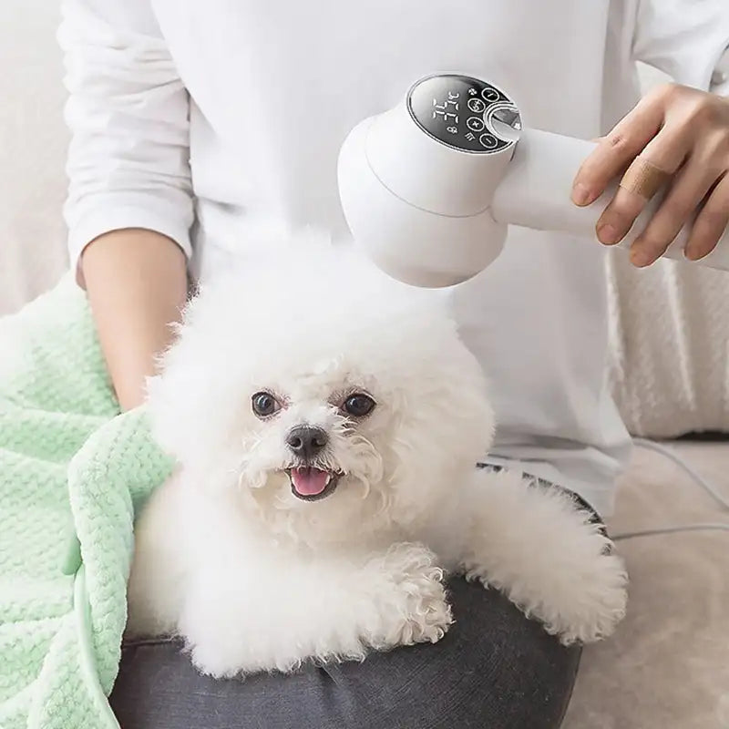 2-in-1 Smart Dog Hair Dryer for Pets – Fast, Gentle Grooming