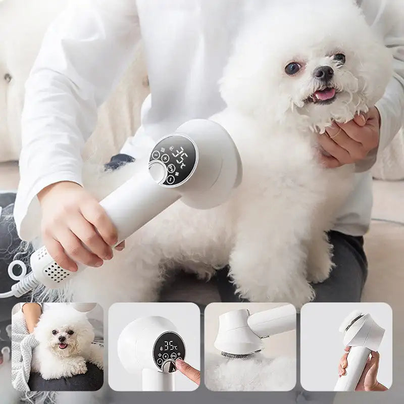 2-in-1 Smart Dog Hair Dryer for Pets – Fast, Gentle Grooming