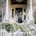 200 Sq Ft Spider Webs Halloween Door Decor Set with Realistic Fake Spiders