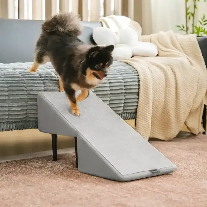 2-in-1 Convertible Dog Ramp and Step Stool for Easy, Safe Pet Access
