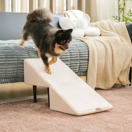 2-in-1 Convertible Dog Ramp and Step Stool for Easy, Safe Pet Access