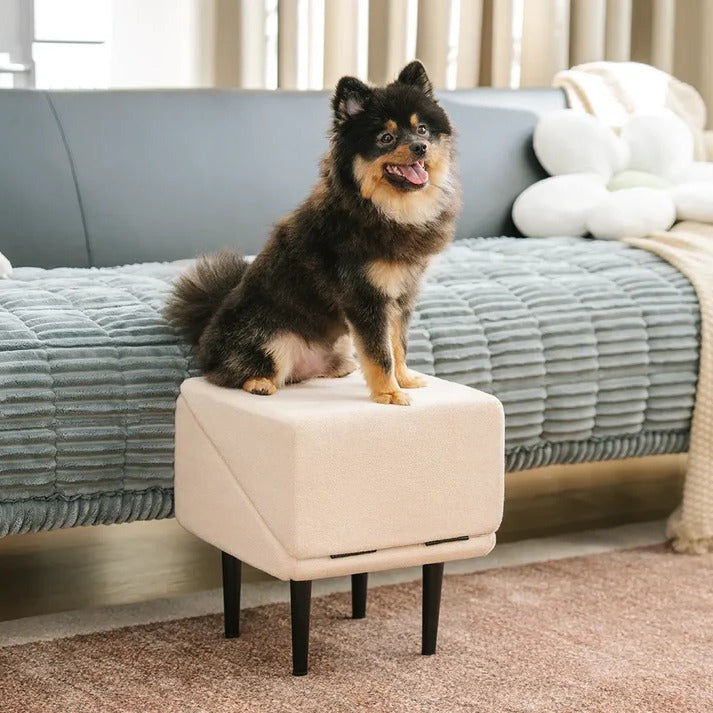 2-in-1 Convertible Dog Ramp and Step Stool for Easy, Safe Pet Access