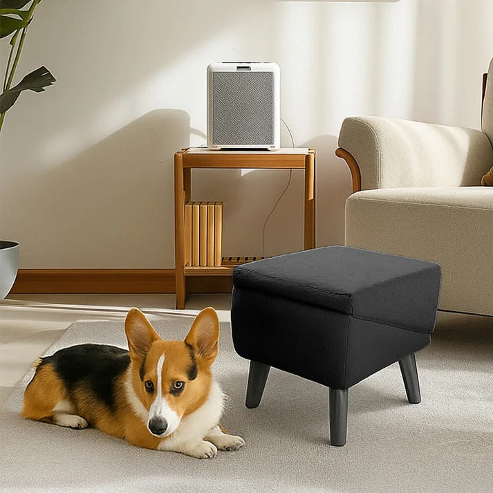 2-in-1 Convertible Dog Ramp and Step Stool for Easy, Safe Pet Access