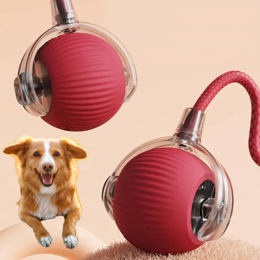 Interactive Rolling Ball with Tail - The Ultimate Fun Toy for Dogs