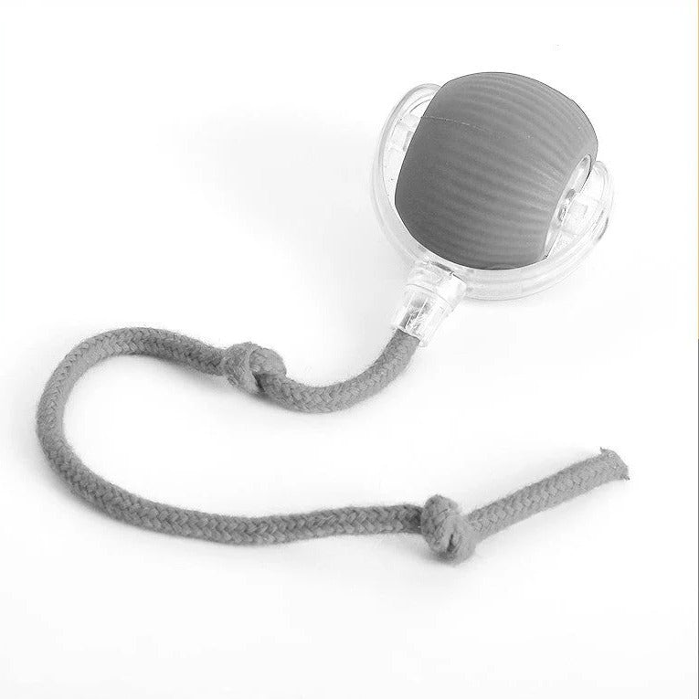 Interactive Rolling Ball with Tail - The Ultimate Fun Toy for Dogs