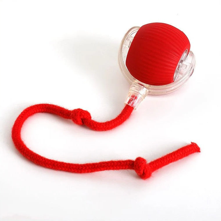 Interactive Rolling Ball with Tail - The Ultimate Fun Toy for Dogs