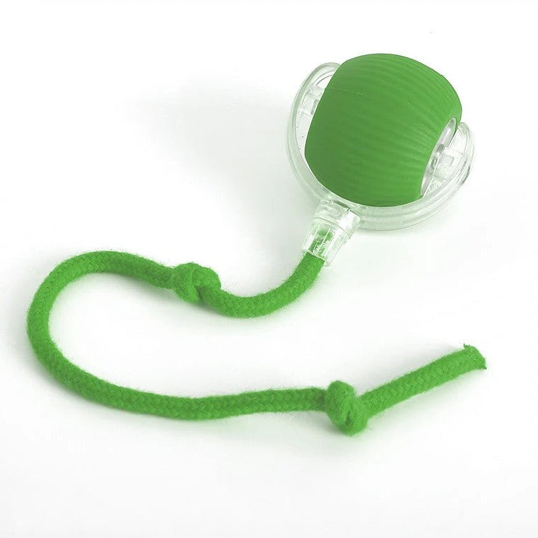 Interactive Rolling Ball with Tail - The Ultimate Fun Toy for Dogs