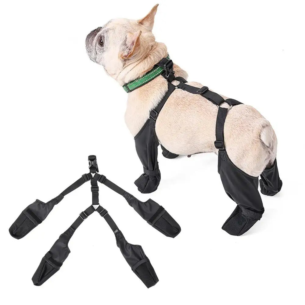 Secure-Fit Adjustable Dog Boots for Comfort and Protection