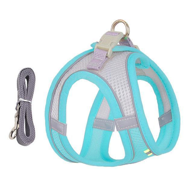 Comfort-Fit Adjustable Harness and Leash Set for Small Dogs and Cats
