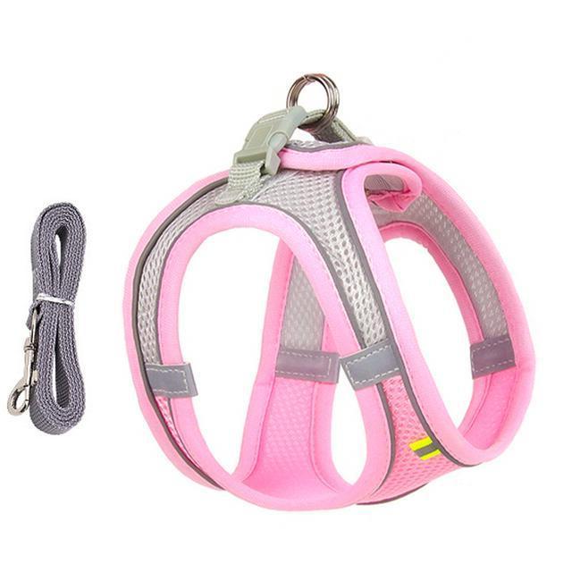 Comfort-Fit Adjustable Harness and Leash Set for Small Dogs and Cats