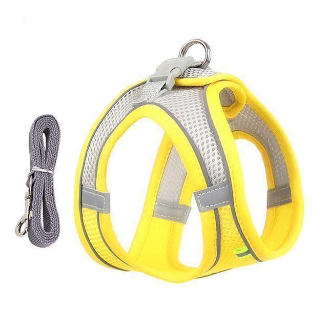 Comfort-Fit Adjustable Harness and Leash Set for Small Dogs and Cats