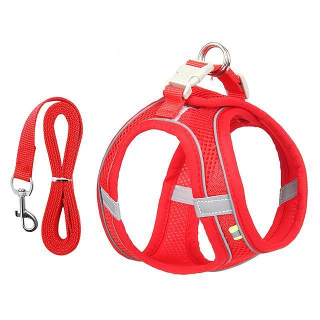 Comfort-Fit Adjustable Harness and Leash Set for Small Dogs and Cats