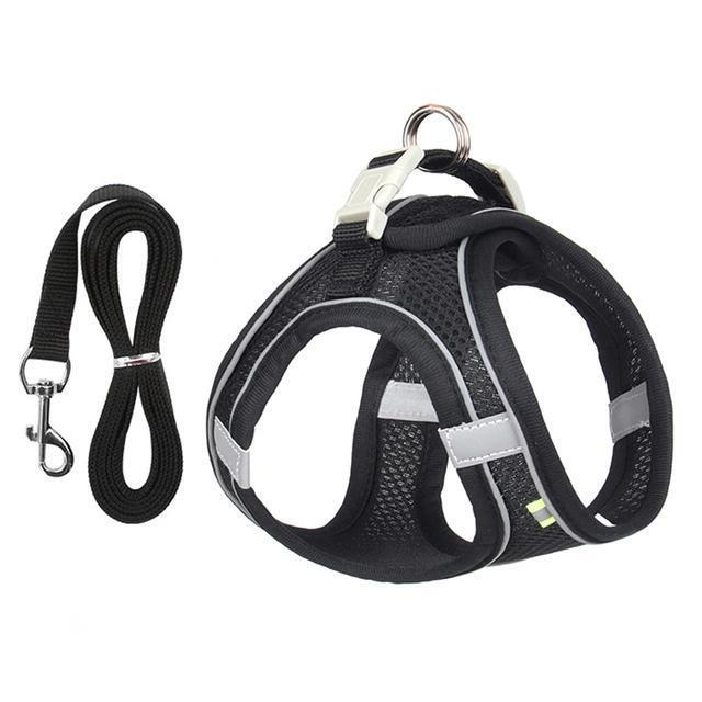 Comfort-Fit Adjustable Harness and Leash Set for Small Dogs and Cats