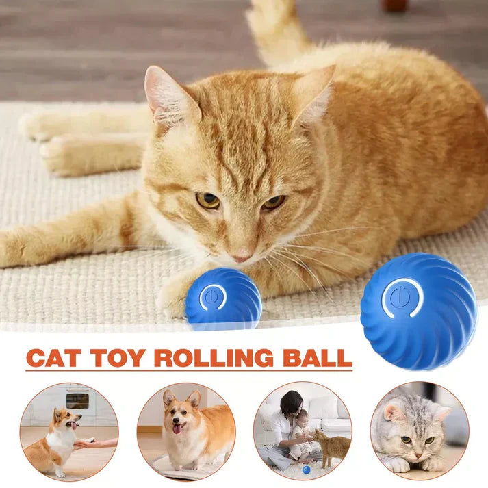 Active Rolling Ball: Automatic Moving Fidget Ball for Anxiety Relief